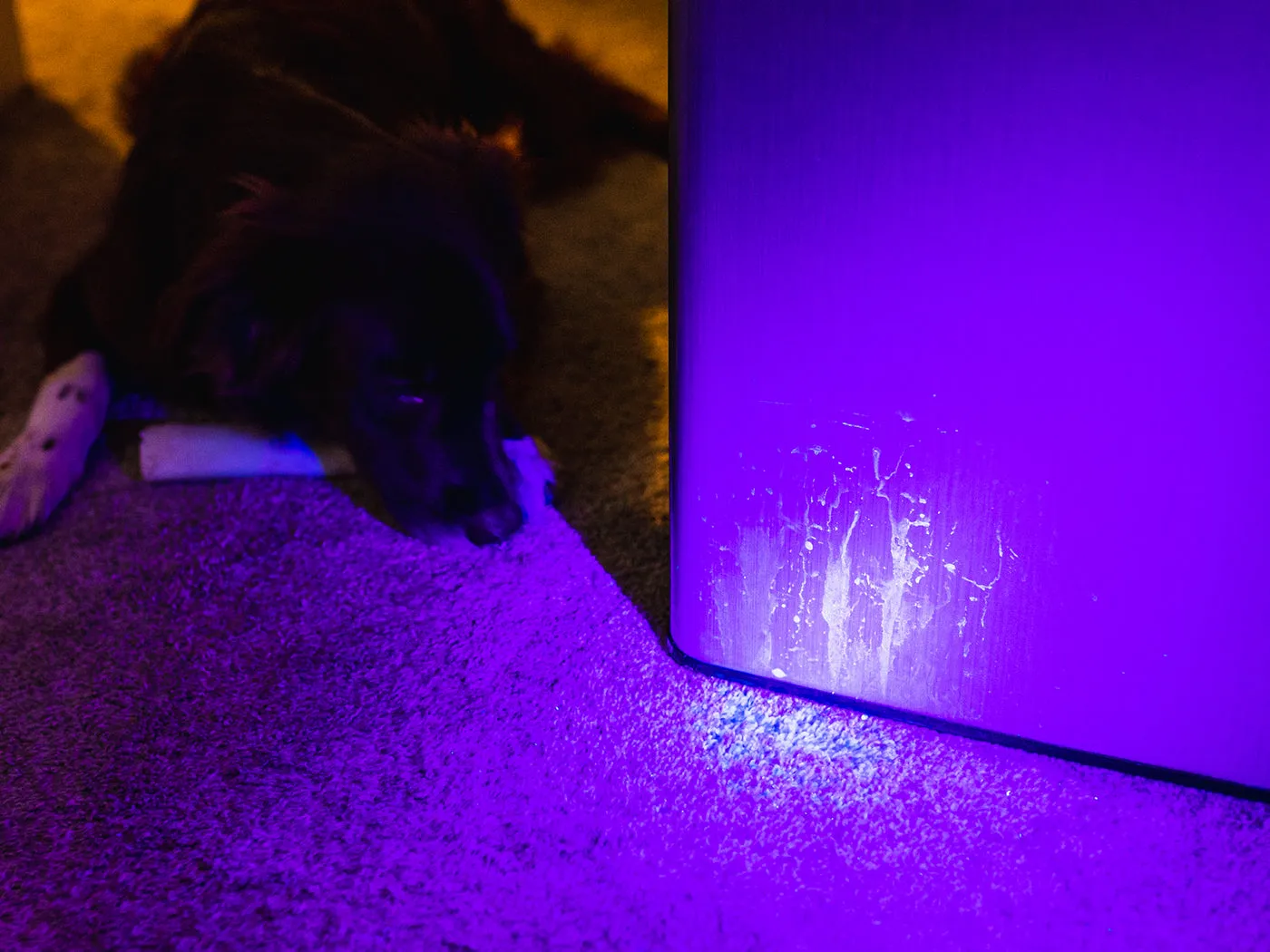Nebo Torchy UV zaklamp AAA batterijen inspectie