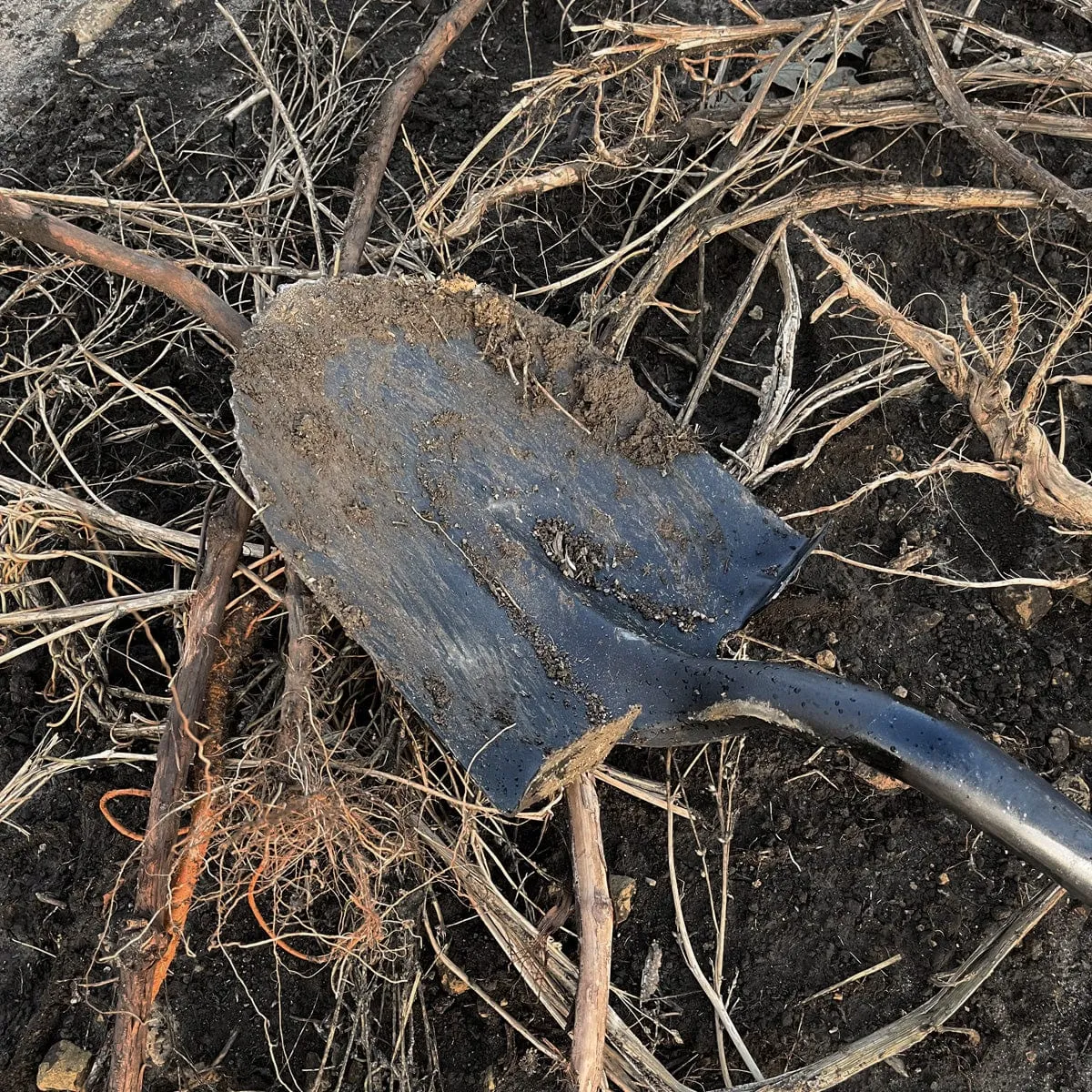 Gemplers Sawtooth Round Point Shovel D-greep spade getand