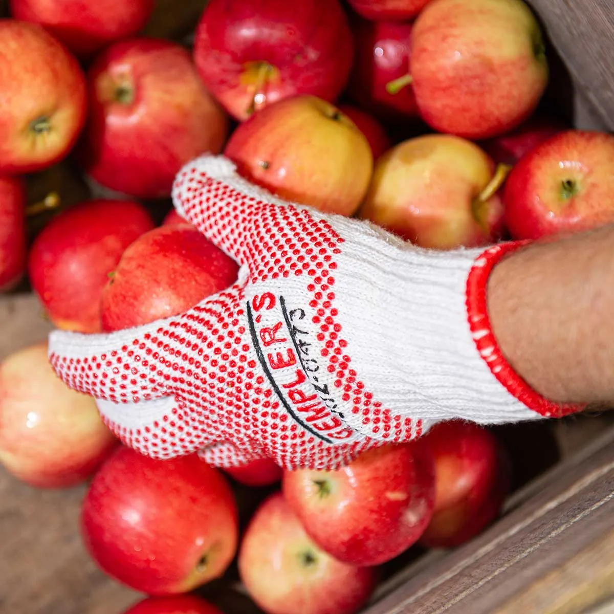 Gemplers Cotton Knit werkhandschoenen grip dots 12 paar