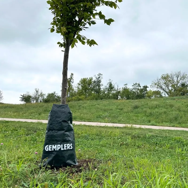 Gemplers Tree Watering waterzak 20 gallon 30 stuks