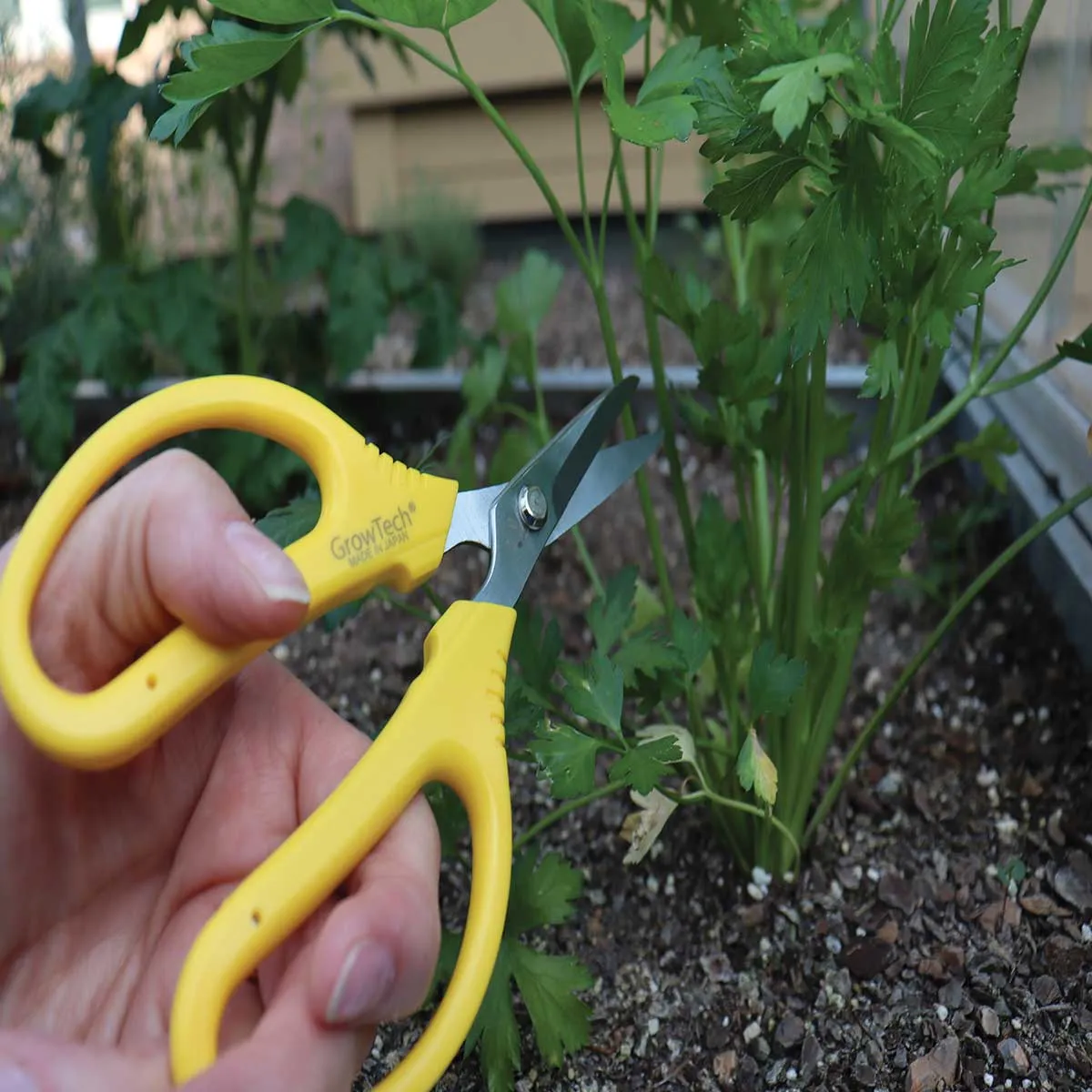 Gemplers GrowTech KIMII schaar chroom