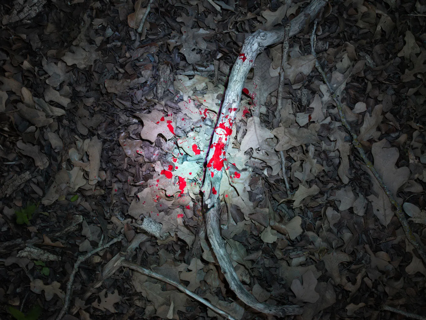 Nebo IllumaTrace Blood Tracker zaklamp 190 lumen