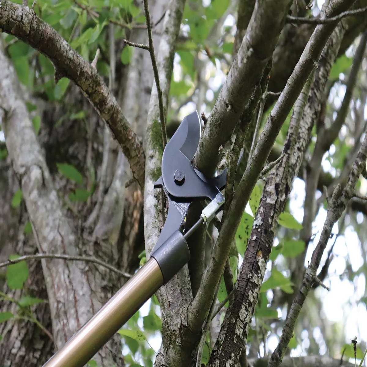 GrowTech Takai takkenschaar telescoop 1,5 inch